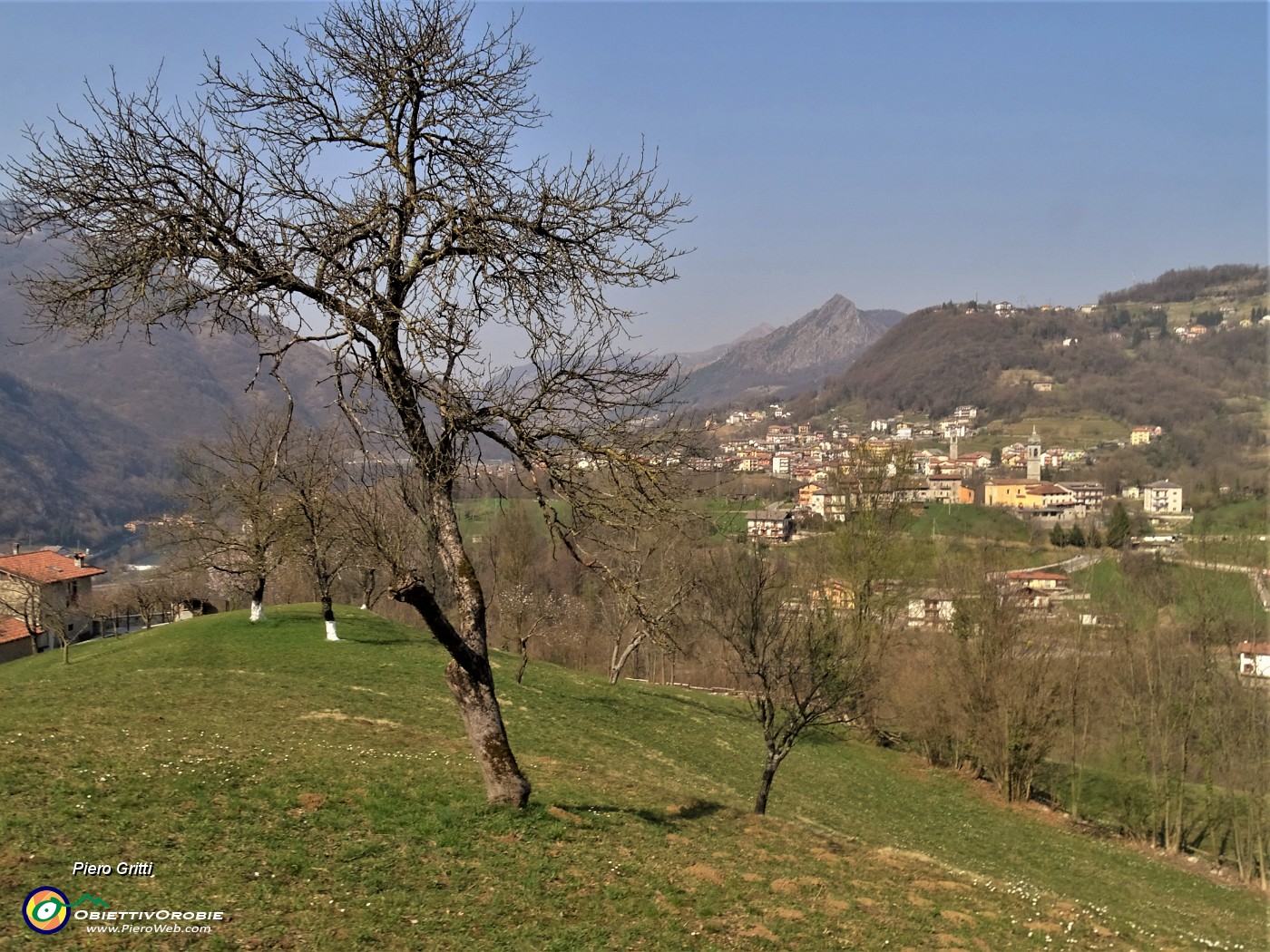 32 Da ciliegio in fiore vista verso Grumello-Endenna.JPG